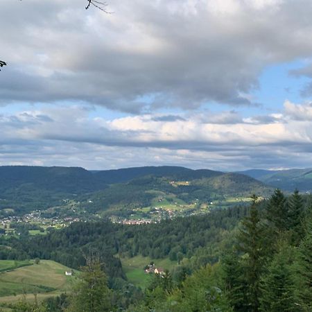 Monts Et Reves Bed & Breakfast Ramonchamp Luaran gambar
